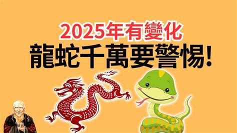 屬龍2024年運勢|2024龍年生肖運程｜屬龍/蛇/馬整體運勢，雲文子犯太 